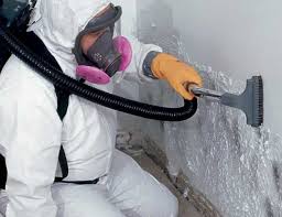 Best Mold Damage Restoration  in Gulfport, FL